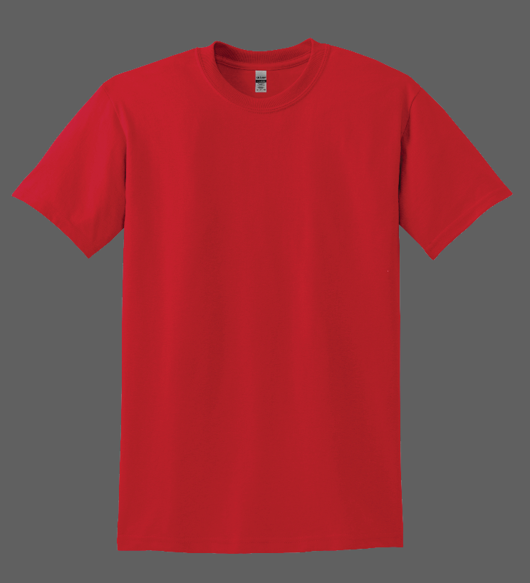 Load image into Gallery viewer, VILLISCA FAMILY HEALTH SHIRT
