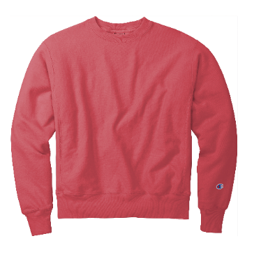 PARTNERS IN EXCEPTIONAL CARE CREWNECK - CHAMPION