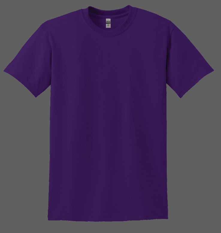Load image into Gallery viewer, EMS SHIRT

