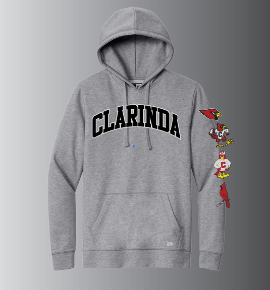 CARDINAL HISTORY HOODIE