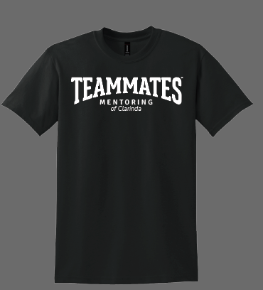 Teammates Mentoring T-Shirt