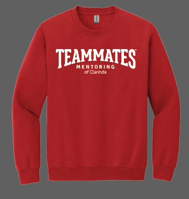 Teammates Mentoring Crewneck Sweatshirt