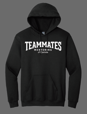 Teammates Mentoring Hoodie