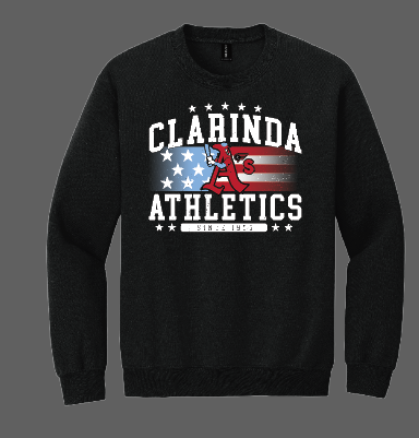 Load image into Gallery viewer, Athletics Stars and Stripes Crewneck Sweatshirt
