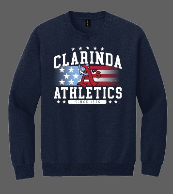 Load image into Gallery viewer, Athletics Stars and Stripes Crewneck Sweatshirt
