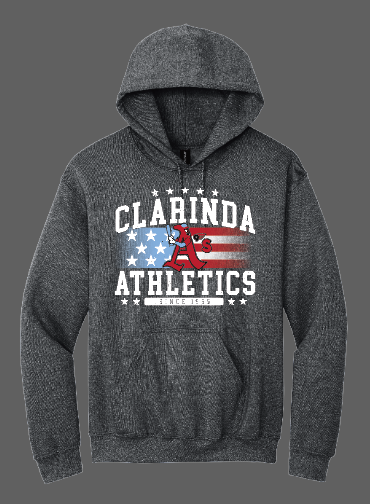 Athletics Stars and Stripes Hoodie