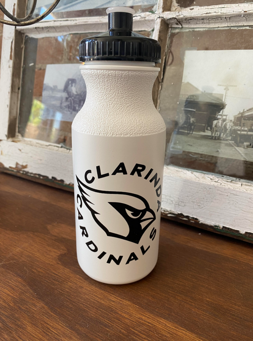 20oz Cardinal Water Bottle