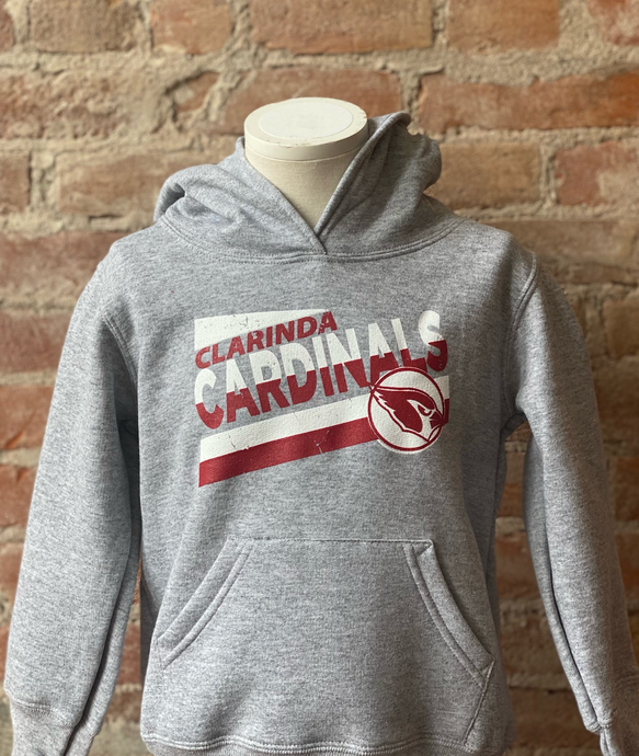 Youth Cardinal Hoodies