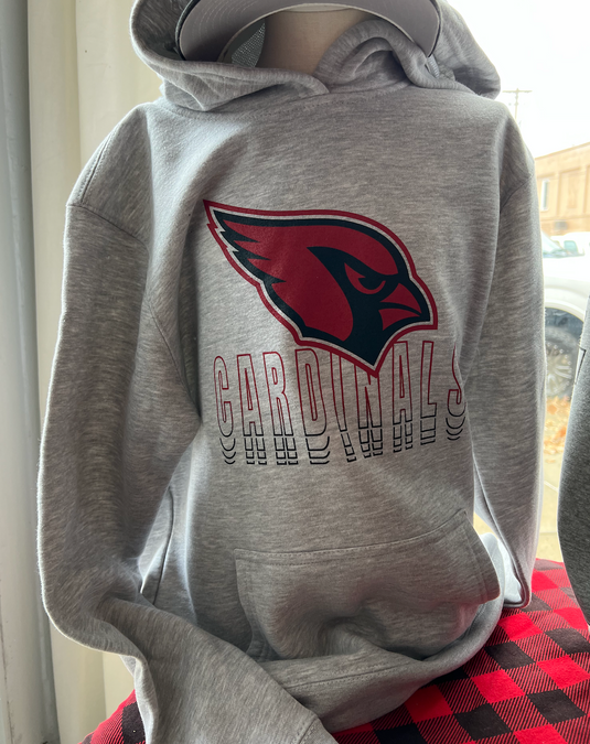 Cardinal Head faded youth hoodie - District