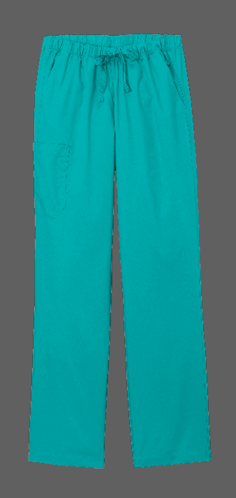 VILLISCA FAMILY HEALTH CENTER WOMENS SCRUB PANTS