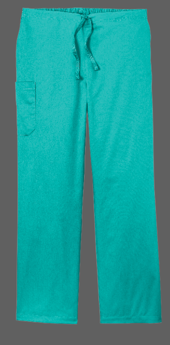 BEDFORD FAMILY HEALTH SCRUB PANTS - UNISEX