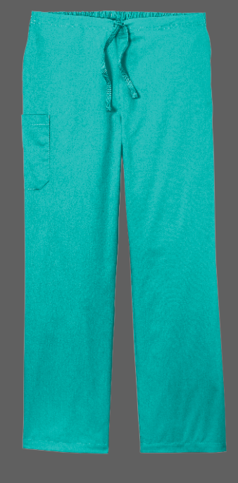 Load image into Gallery viewer, BEDFORD FAMILY HEALTH SCRUB PANTS - UNISEX
