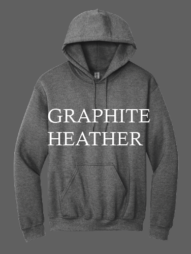 Load image into Gallery viewer, PARTNERS IN EXCEPTIONAL CARE HOODIE - GILDAN
