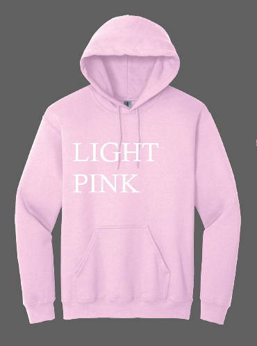 Load image into Gallery viewer, CLARINDA MENTAL HEALTH HOODIE - GILDAN
