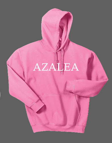 CLARINDA MENTAL HEALTH HOODIE - GILDAN